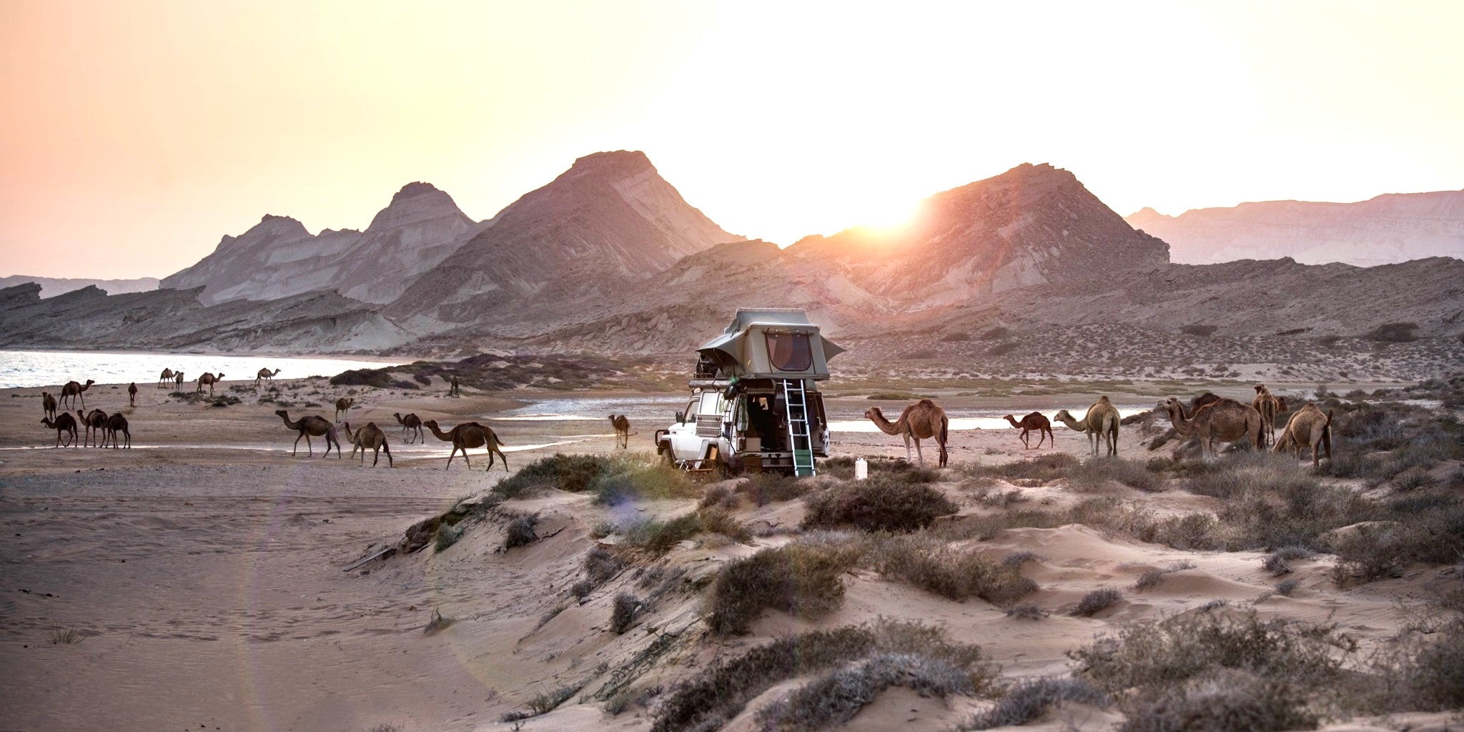 Iranische Landschaft mit Bergen, Meer und vielen Kamelen am dünigen Strand bei Sonnenuntergang. Mittendrin ein Geländewagen mit Dachzelt von Gordigear
