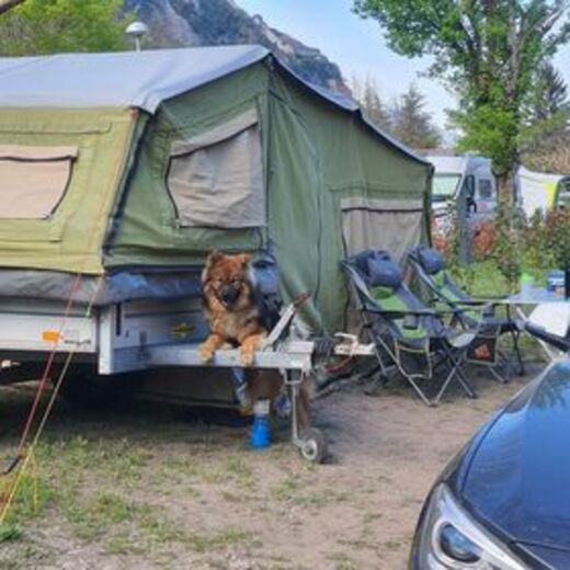 Anhängerzelt von Gordigear am Campingplatz mit Hund davor