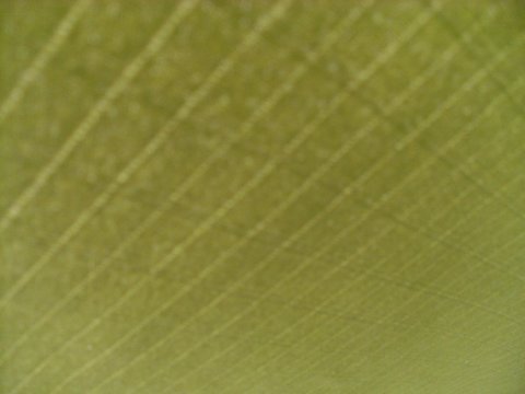 Nahaufnahme des Stoffes des Anhängerzelts