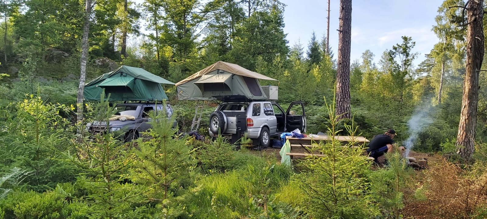 Zwei Autos mit Dachzelten mitten im Wald