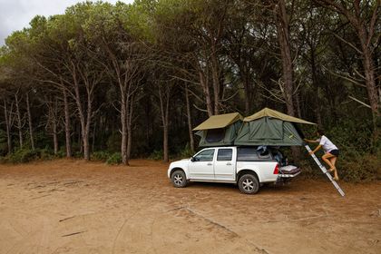 Pickup mit zwei Dachzelten am Waldrand