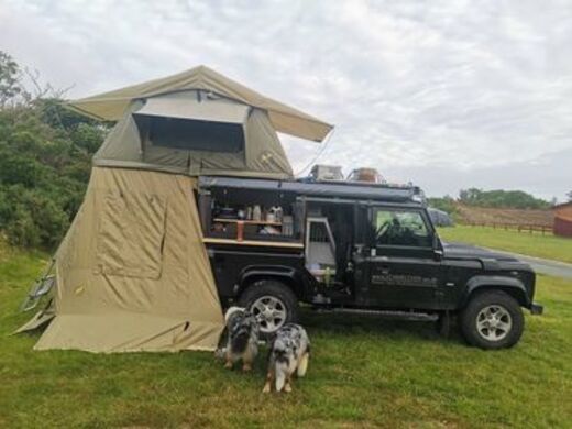 zwei Hunde vor Defender mit Dachzelt und Vorzelt