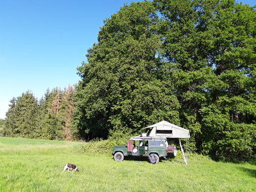 Gordigear Faltdachzelt auf Geländewagen beim Wildcampen am Waldrand