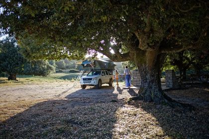 Weißer Pickup mit zwei Dachzelten unter einem großen Baum