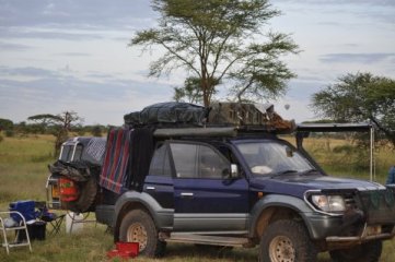Kenia (Serengeti)
