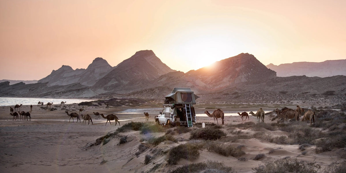 Iranische Landschaft mit Bergen, Meer und vielen Kamelen am dünigen Strand bei Sonnenuntergang. Mittendrin ein Geländewagen mit Dachzelt von Gordigear