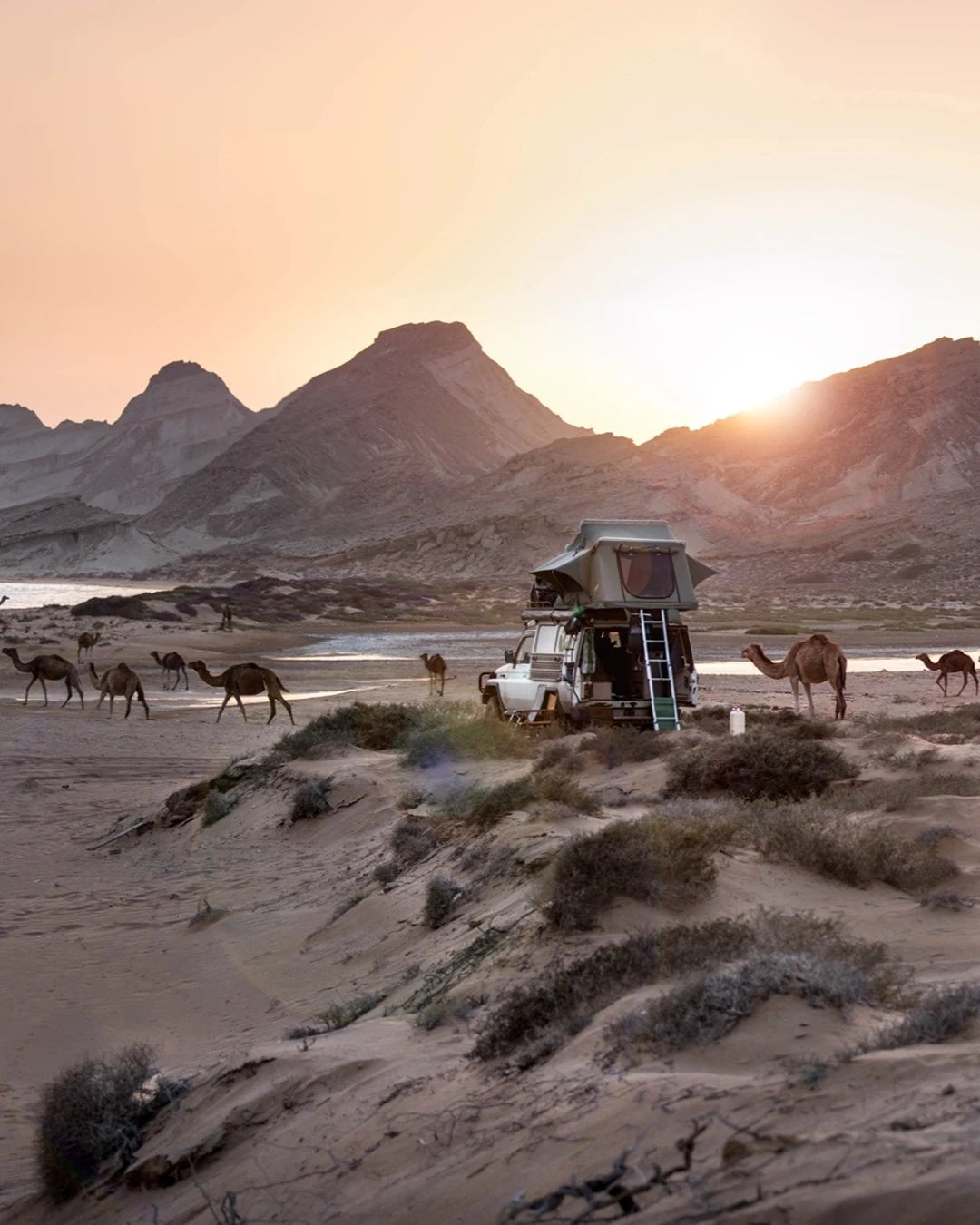 Iranische Landschaft mit Bergen, Meer und vielen Kamelen am dünigen Strand bei Sonnenuntergang. Mittendrin ein Geländewagen mit Dachzelt von Gordigear