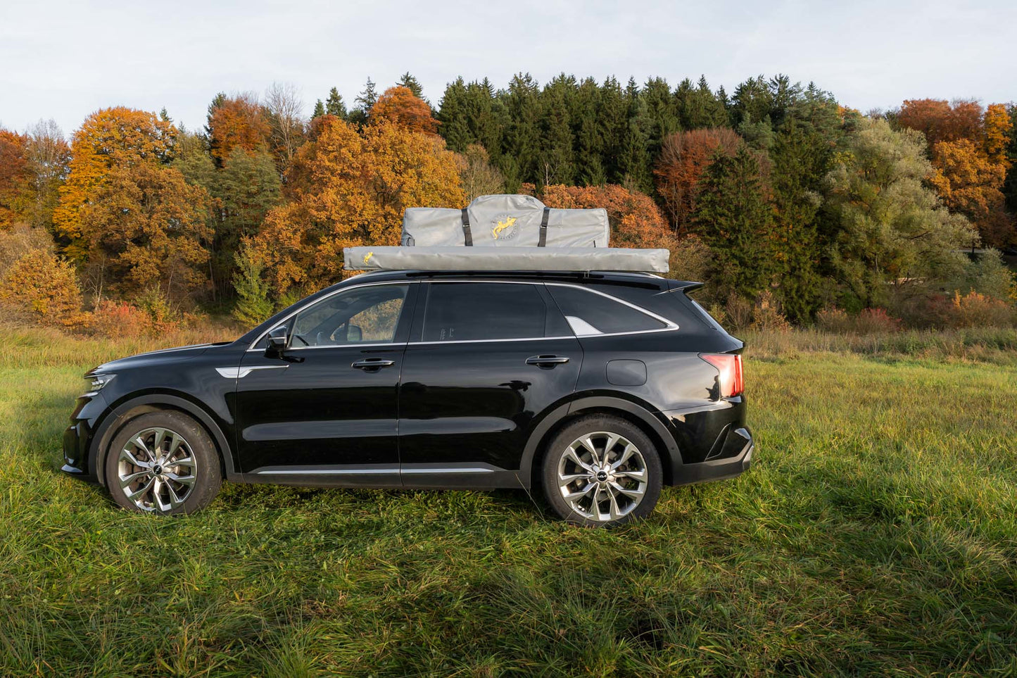 Gumtree Automarkise grau