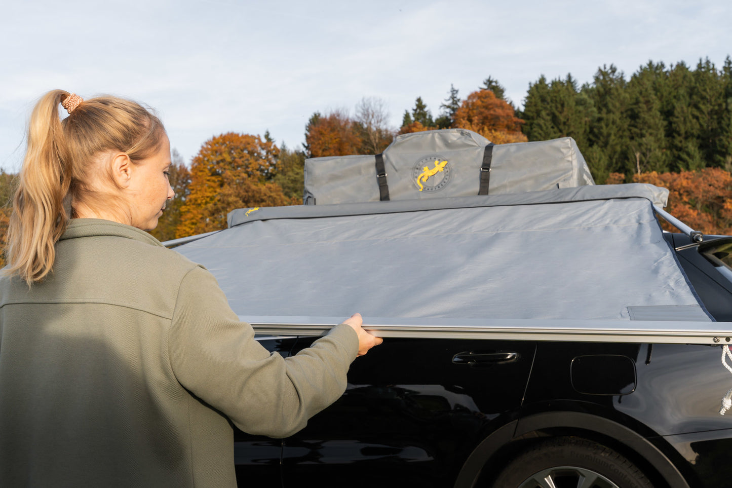 Gumtree Automarkise grau