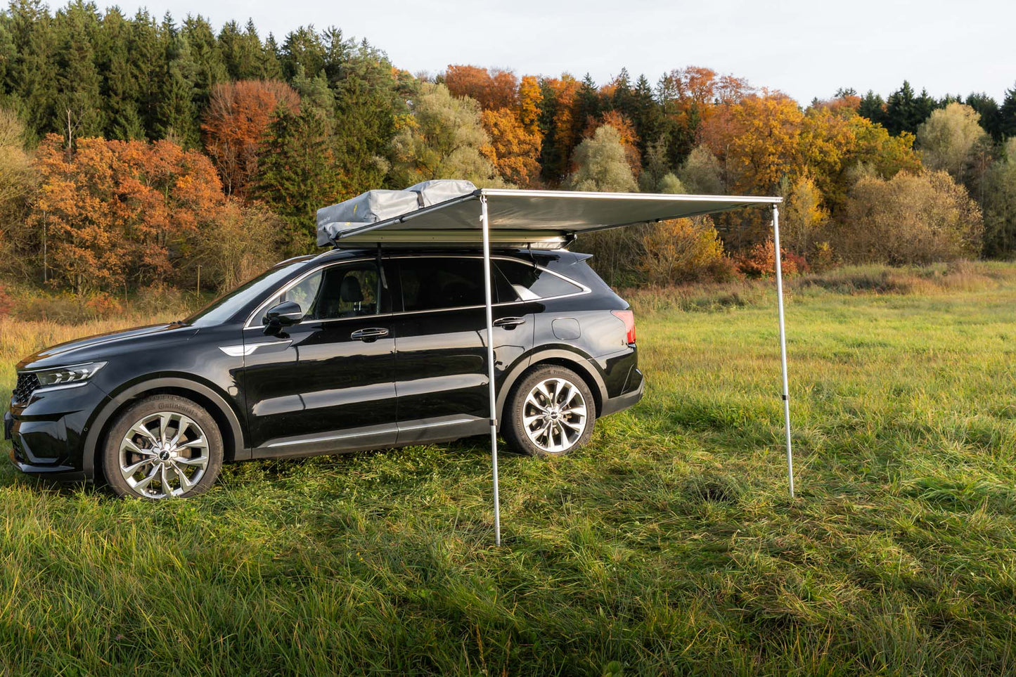 Gumtree Automarkise grau