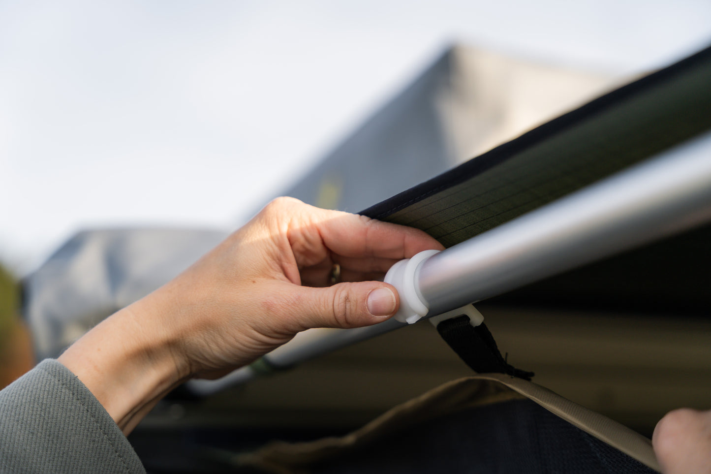 Gumtree Moskitonetzraum