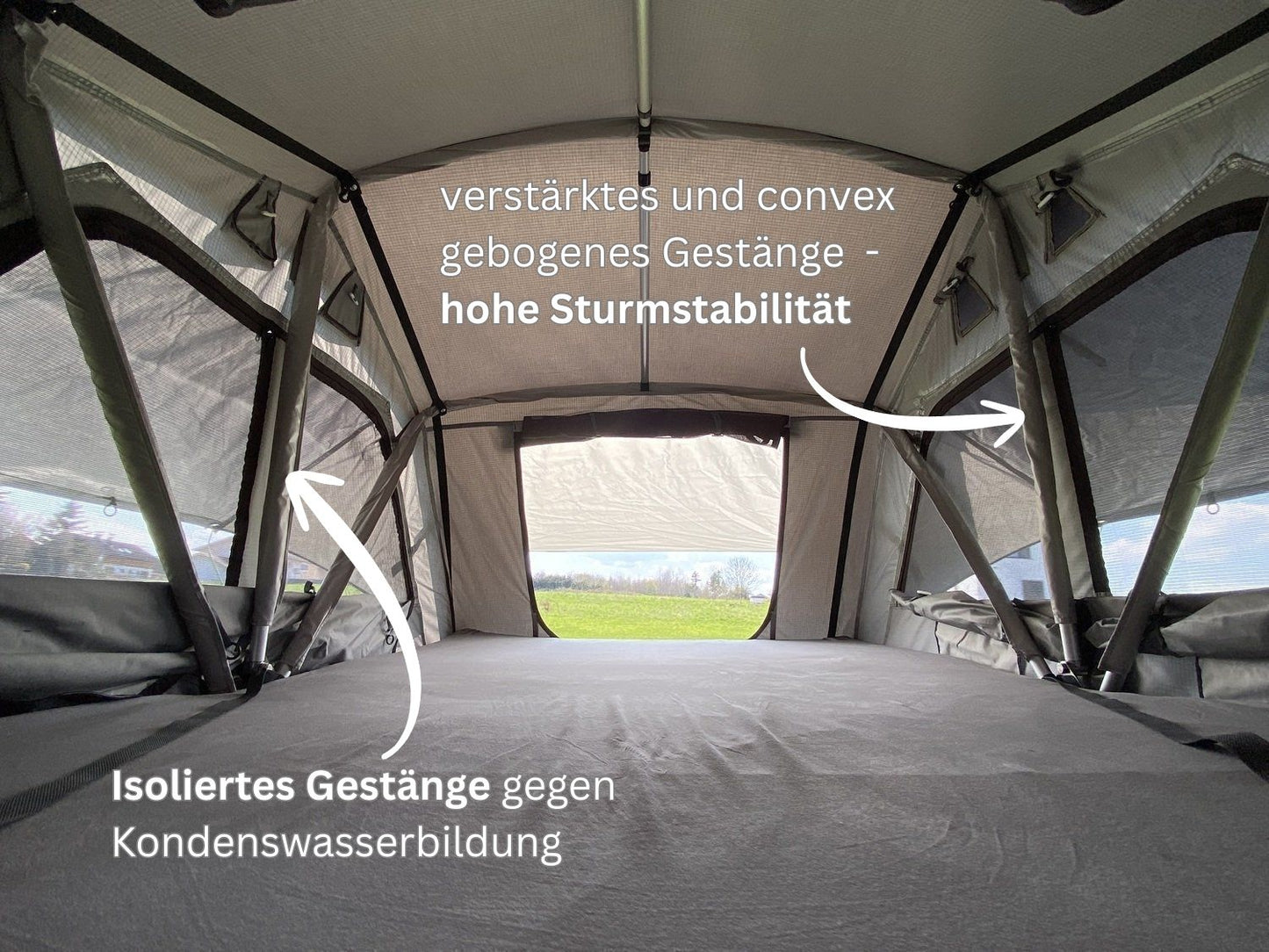 Tanami Pro Innenansicht mit großen Fenstern