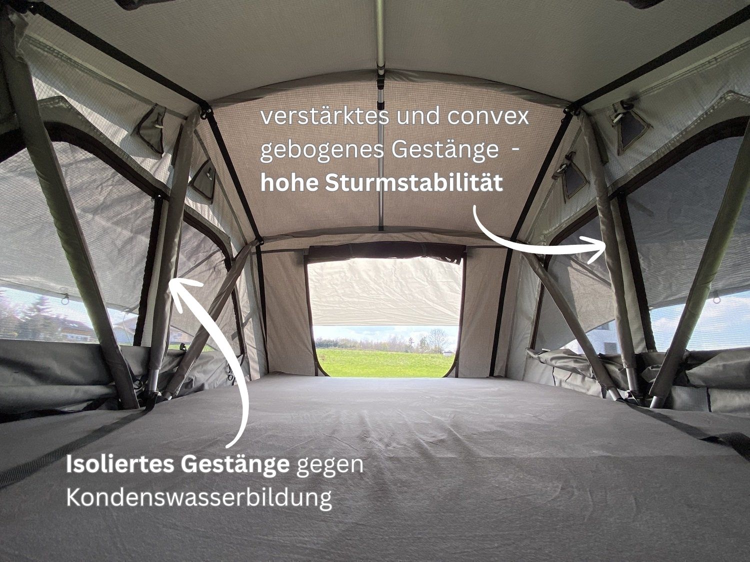 Tanami Pro Innenansicht mit großen Fenstern